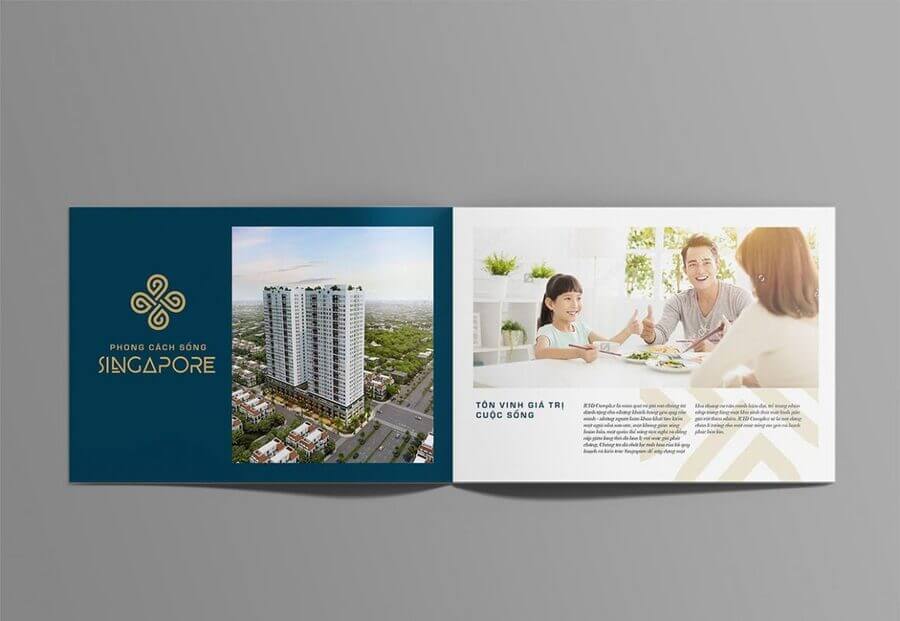 mau brochure gioi thieu san pham