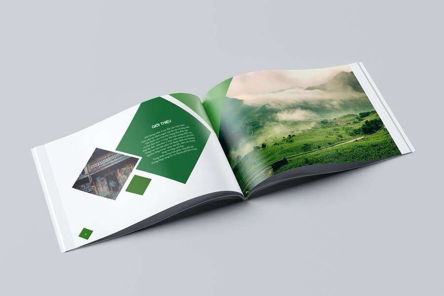 mau brochure gioi thieu san pham