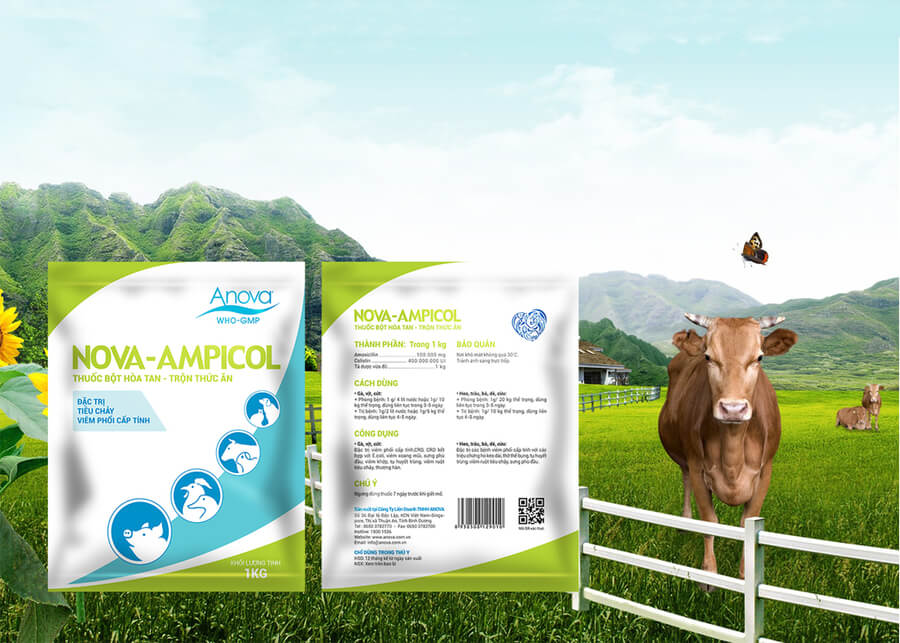 quy trinh san xuat bao bi mang ghep